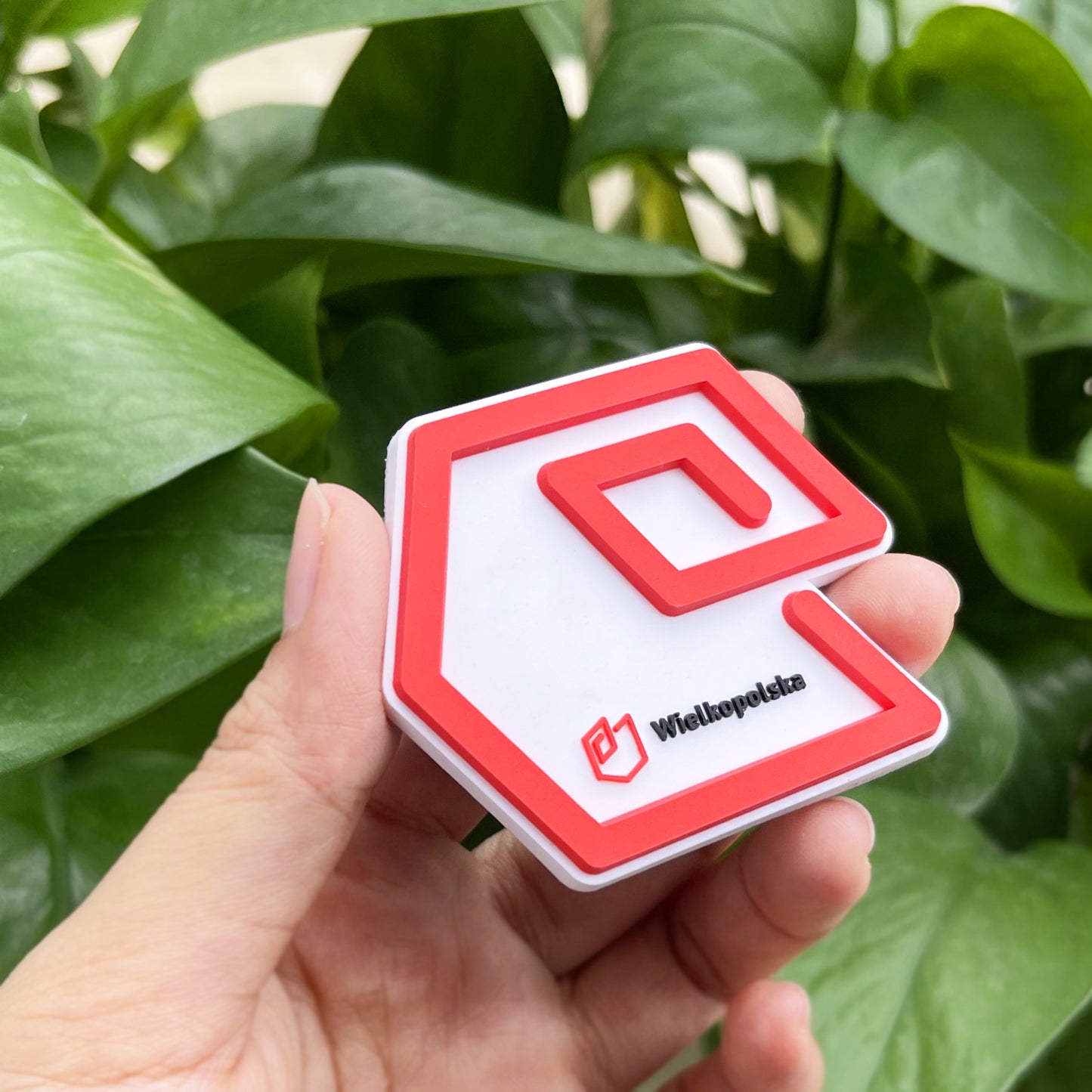 Custom Rubber Fridge Magnet